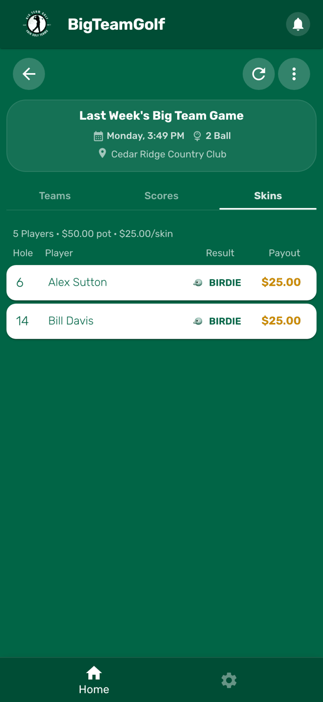 Skins results with hole, winner and payout